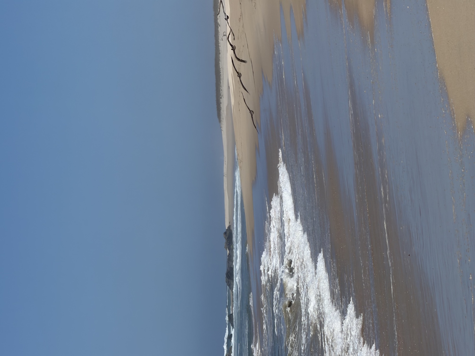 Pacific beach and sand