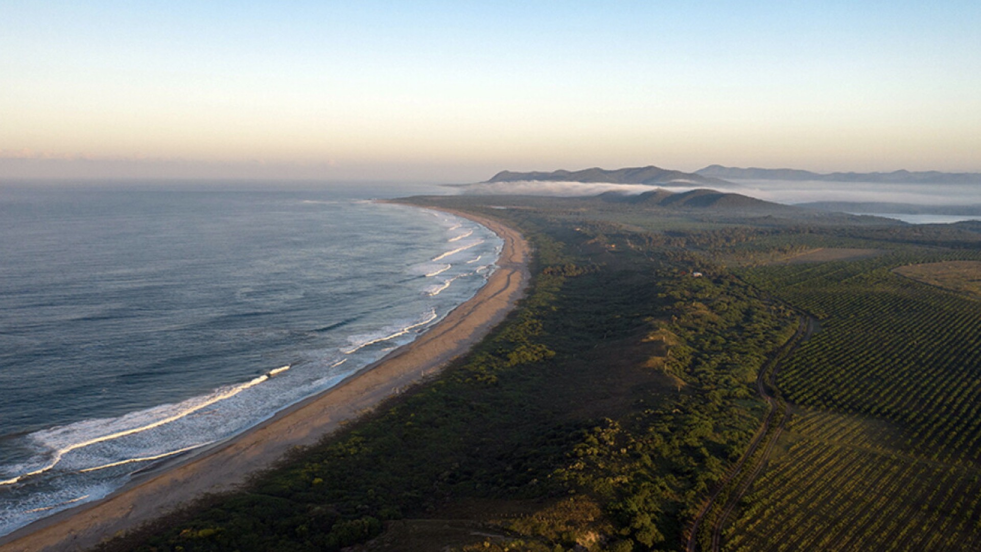 Aerial view of the coastline