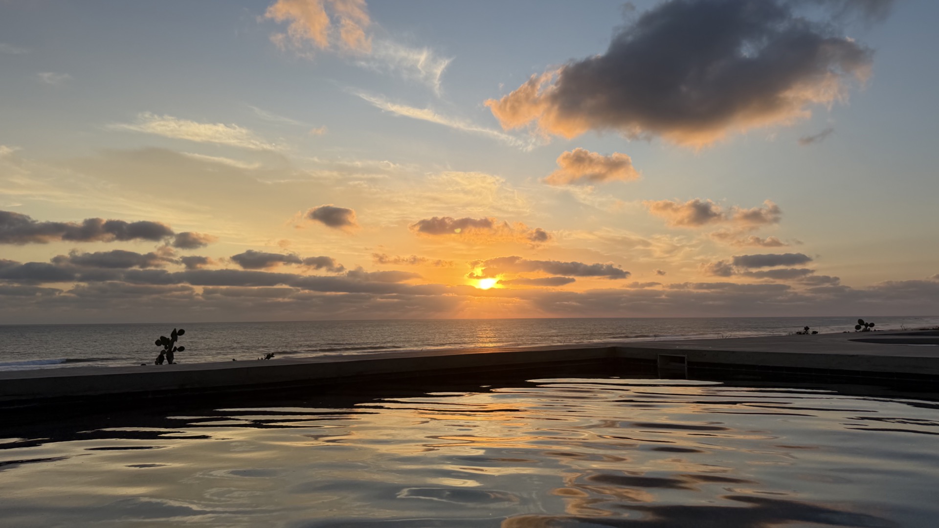 Rooftop pool at sunset